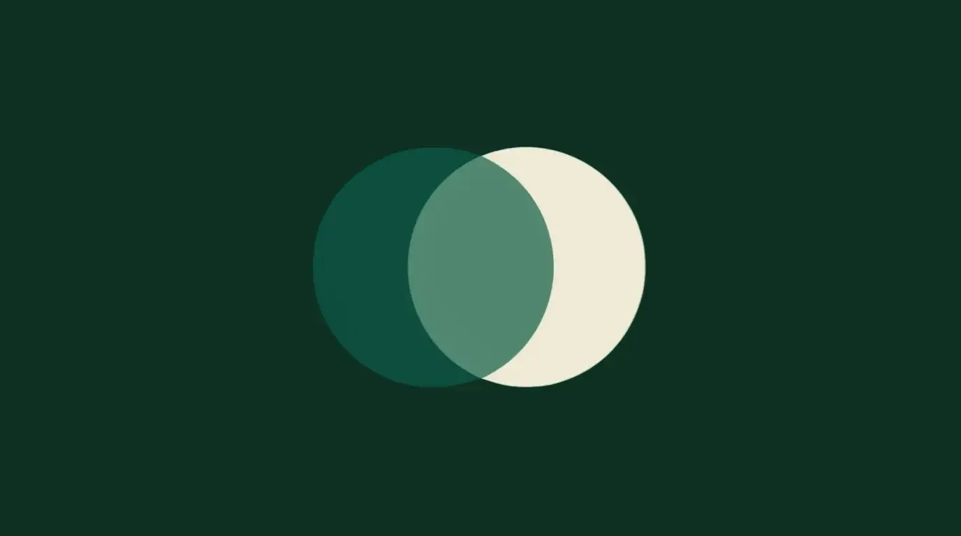 3.webp